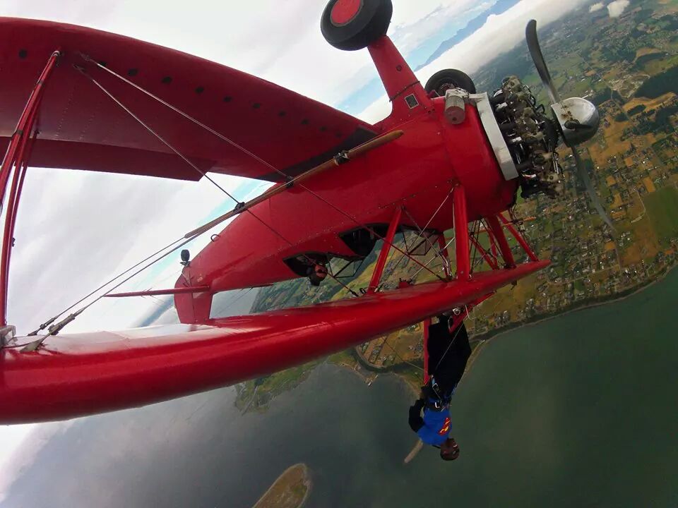 wing walking experience